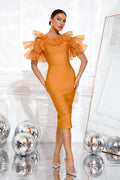 Women Sexy Mesh Midi Dress In Orange